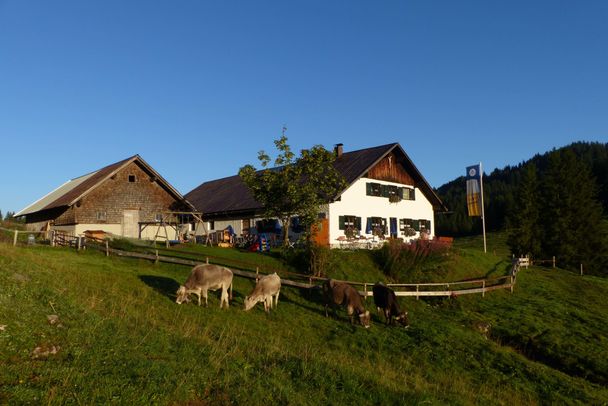 Alpe Schönberg am Fuße des Beslers