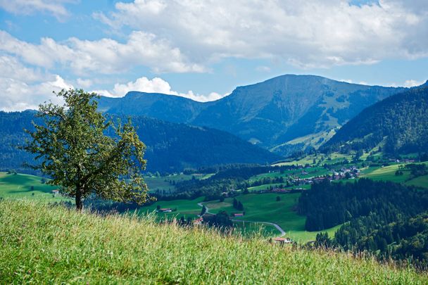 Blick vom Paradies zum Hochgrat