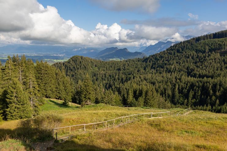 Auf dem Weg zur Kappeler Alp