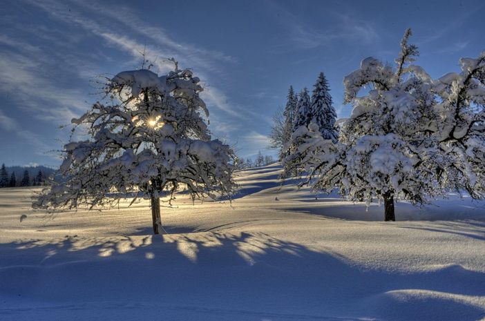 oberstaufen _winter 20