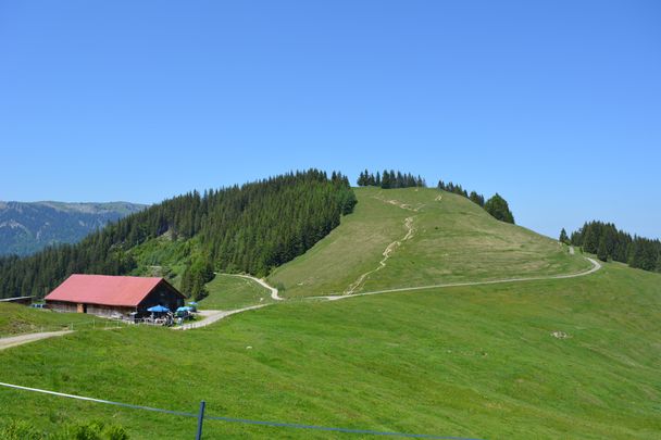 Alpe Fahnengehren am Ofterschwanger Horn in Ofterschwang