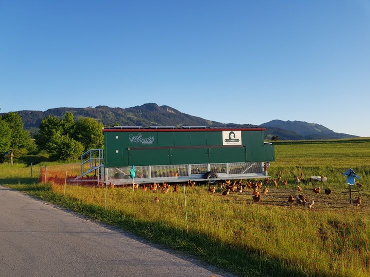 Hühnermobil Bayrhof