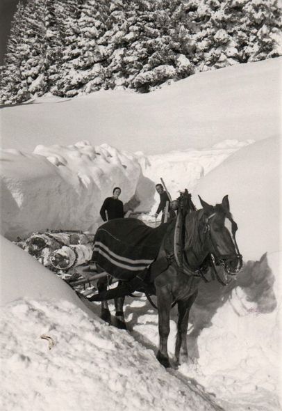 Holztransport mit 1 PS im Februar 1970