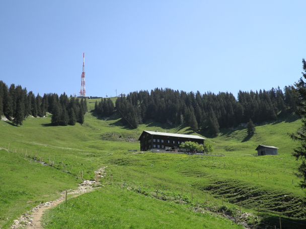 Auf dem Weg zum Grüntenhaus