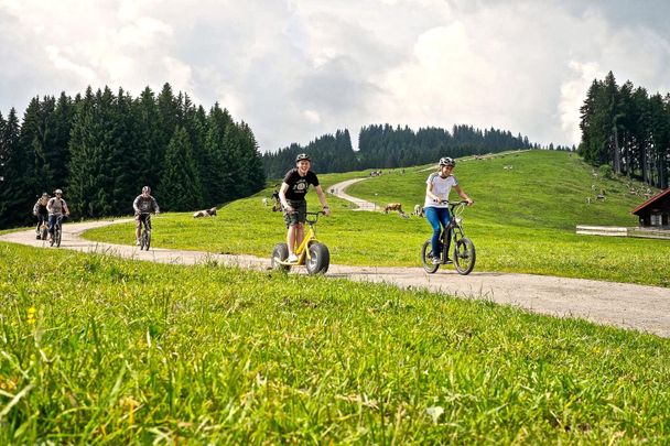Downhill Roller in Ofterschwang im Allgäu