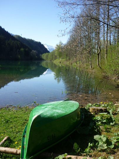 Kleinod Auwaldsee