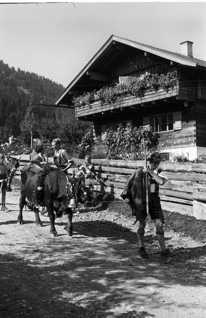 Der Viehscheid hat in Bolsterlang eine lange Tradition