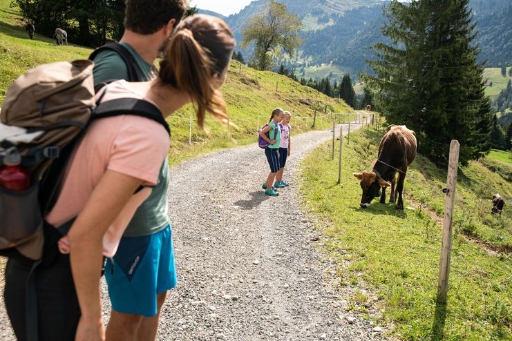 Familienwandern rund um Oberstaufen