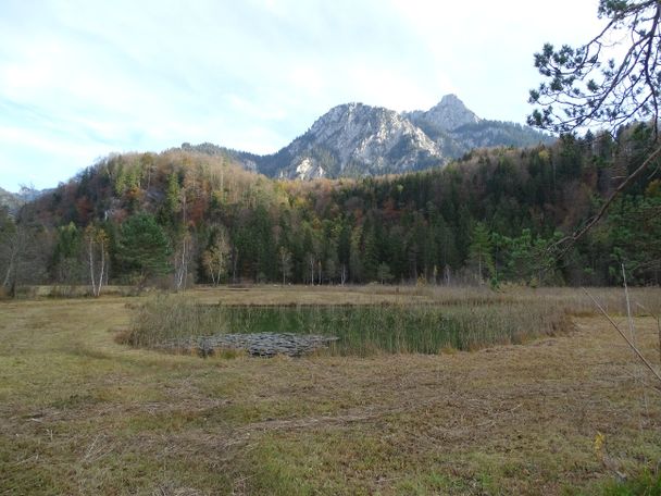 Schwanseepark mit Säuling im Hintergrund