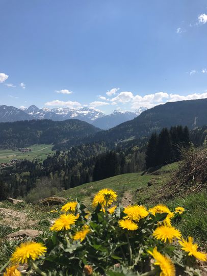 Aussicht auf das Allgäuer Dreigestirn "Trettach, Mädelegabel und Hochfrottspitze"