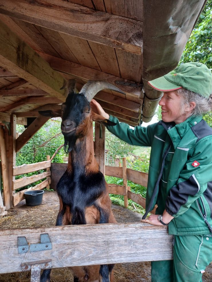 Helga mit einer ihrer Ziegen am Ziegen-Bären-Hof-Hampp