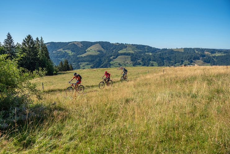 Unterwegs auf der Mountainbikeroute "Wildes Allgäu"