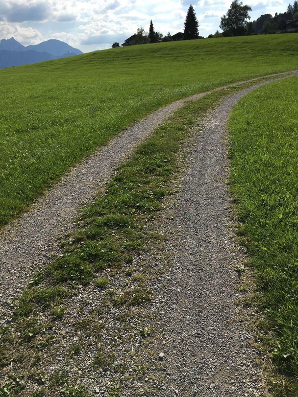 Feldweg oberhalb von Hopfen am See