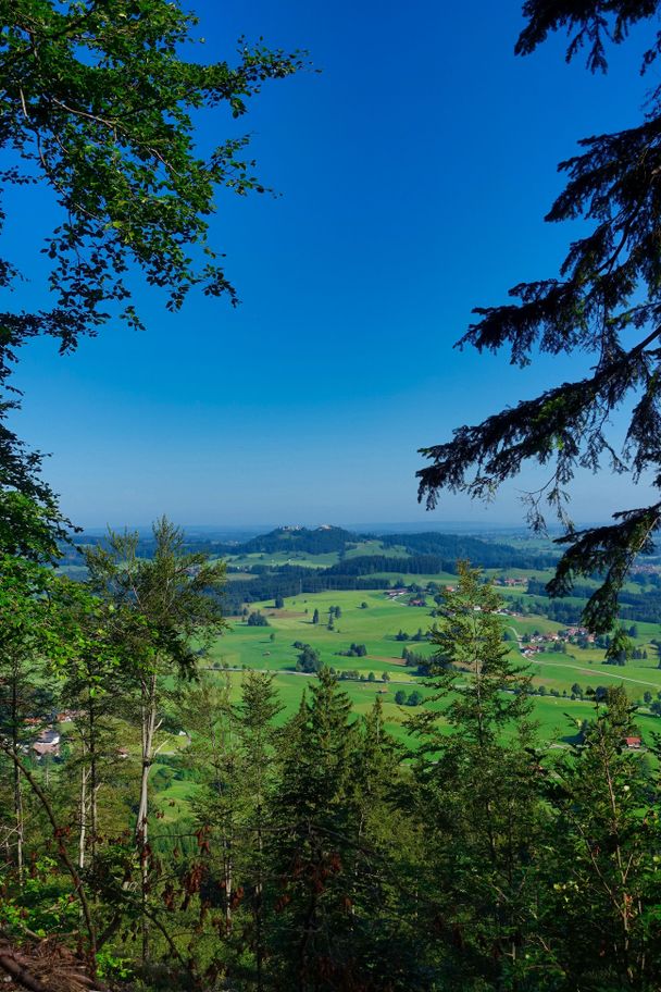 Blick während des Aufstiegs zum Falkenstein