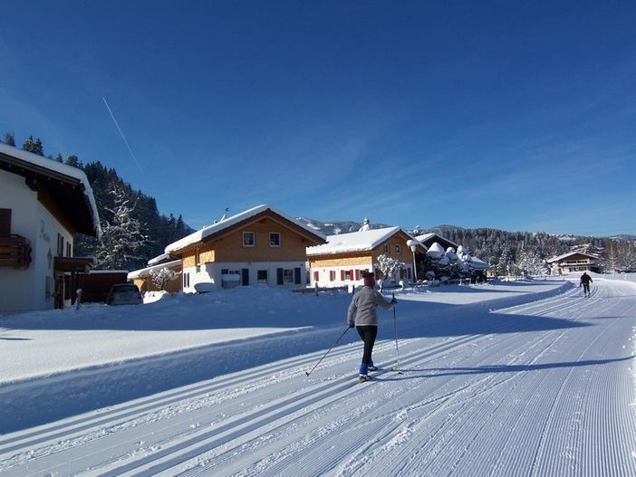 Chalets Flora & Fauna mit Langläufern