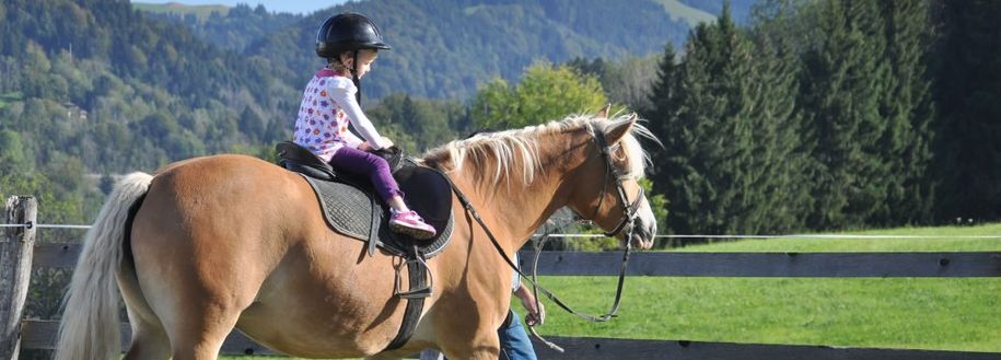 Geführtes Reiten auf unserem Reitplatz