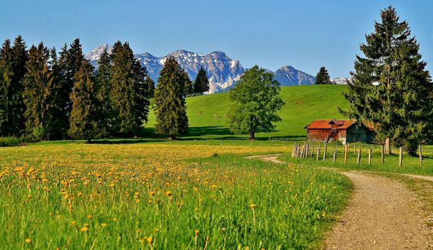 Dietringer Alm Rundweg, Rieden am Forggensee