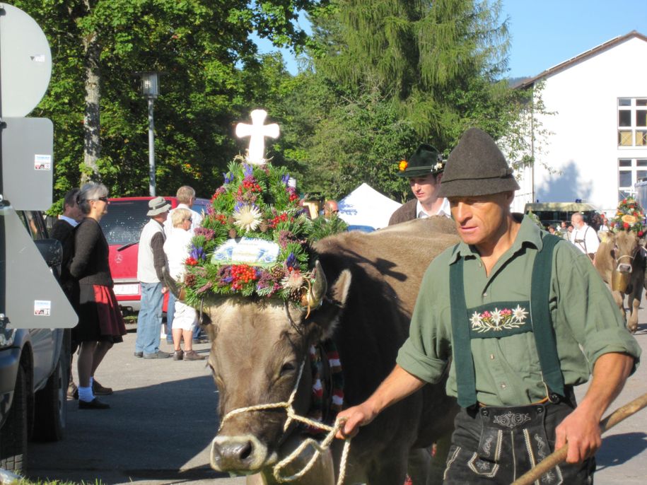 Bauernhof Höß (8)