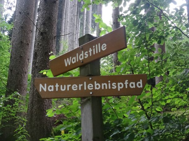 Hier geht es zur Waldstille