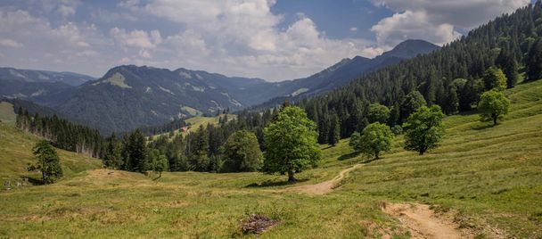 Bergahorngarten am Hochgrat