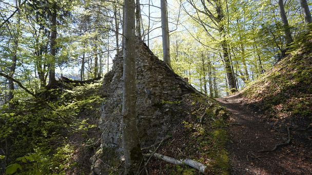 Weg zur Ruine Rothenfels