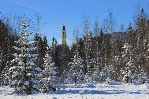 Blick vom Berger Moos auf die Pfarrkirche St. Nikolaus