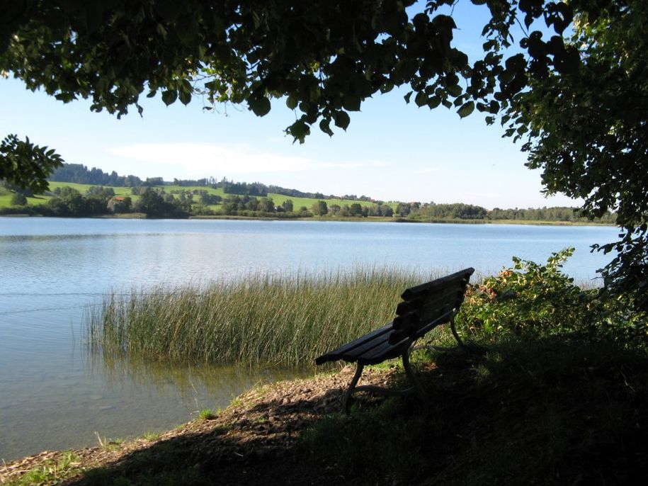 Am Niedersonthofener See