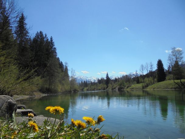 Auwaldsee bei Fischen