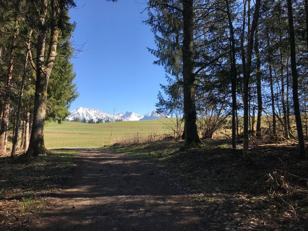 Lichtung mit Blick auf die gegenüberliegenden Berggipfel