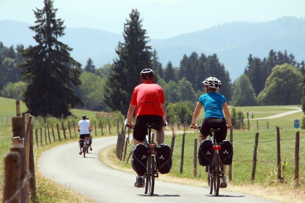 Radler auf dem Forggenseeradweg