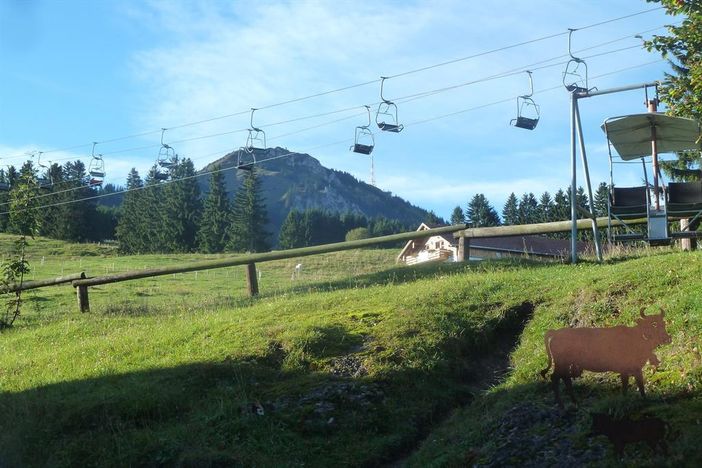 5aGrüntenblick-Mittel