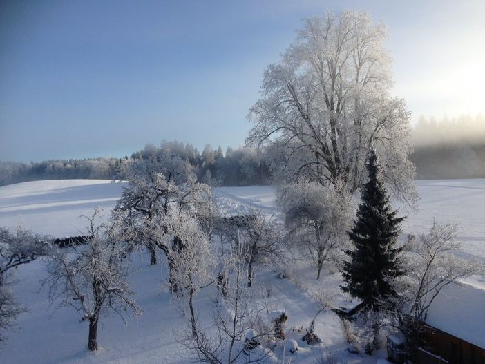 Winterausblick aus der Ferienwohnung