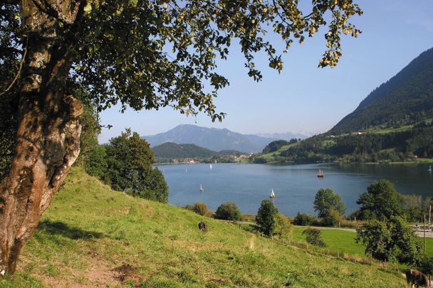 Blick auf den Großen Alpsee