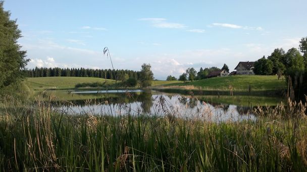 Staudacher Weiher Osterwald Argenbühl