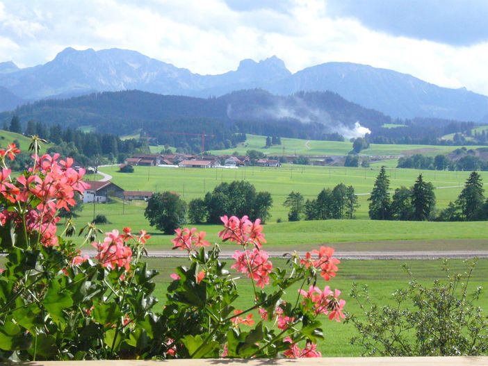 Wenn im Sommer die Blumen blühen