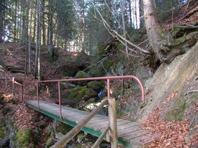 Eine Holzbrücke erleichtert das Fortkommen im unwegsamen Gelände.