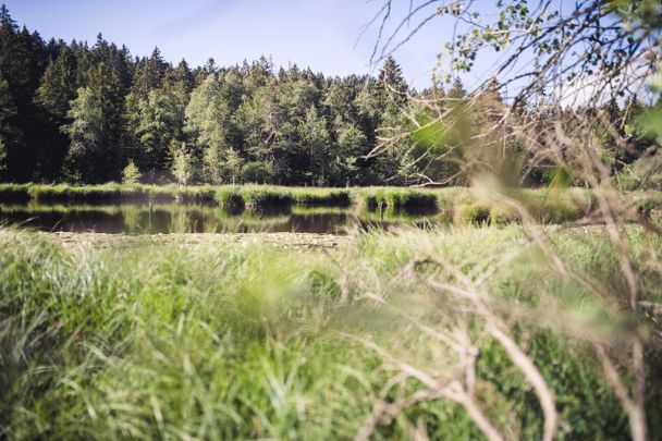 wenn die stille zu mir spricht 18(7)_©LRA Lindau_Frederik.Sams