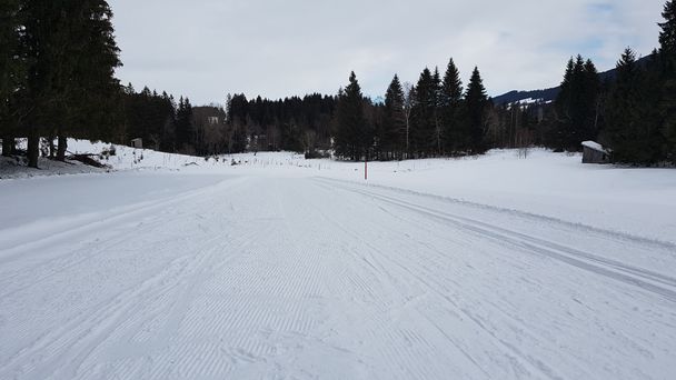 Präparierte Loipe: Streckenabschnitt bei Reichenbach