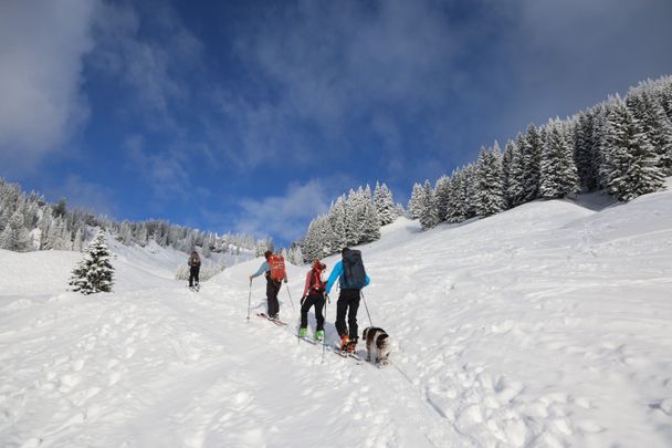 Von Balderschwang auf den Siplingerkopf