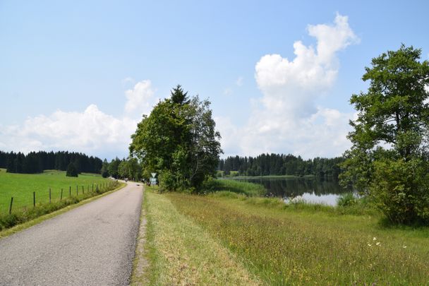 Forggensee-Runde Hegratrieder See