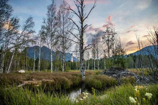 Die "blaue Stunde" im Pfrontener Moor