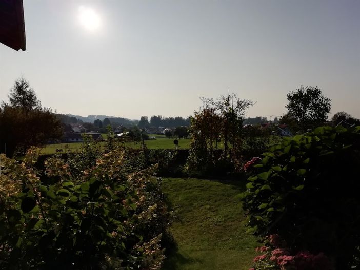 Ferienwohnung Familie Kleinert - Garten