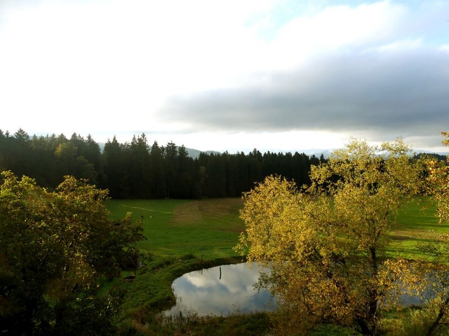 Unser herbstlicher Schwimmteich