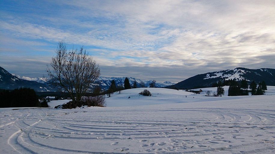 Winterblick_auf_den_Mittag