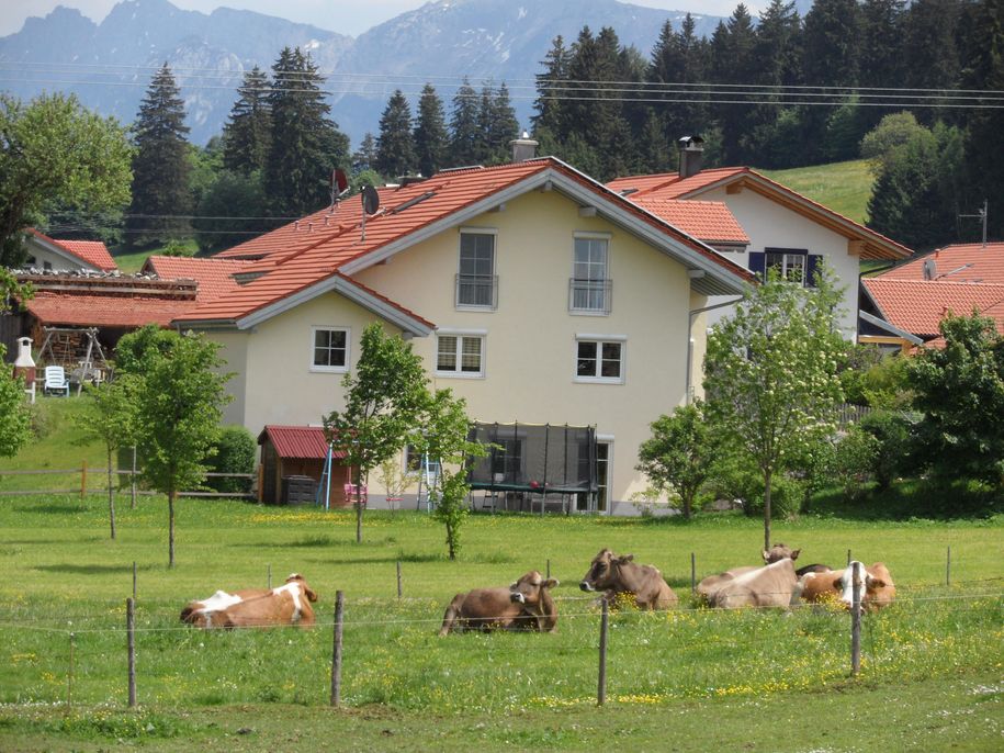 Rückansicht Haus Faber