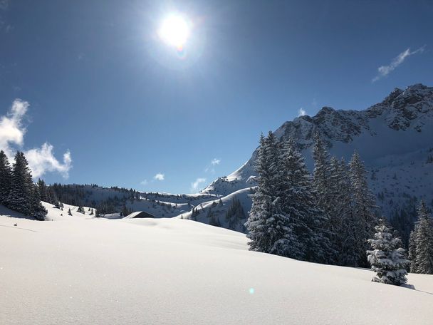 Edenalpe-Nesselwängle