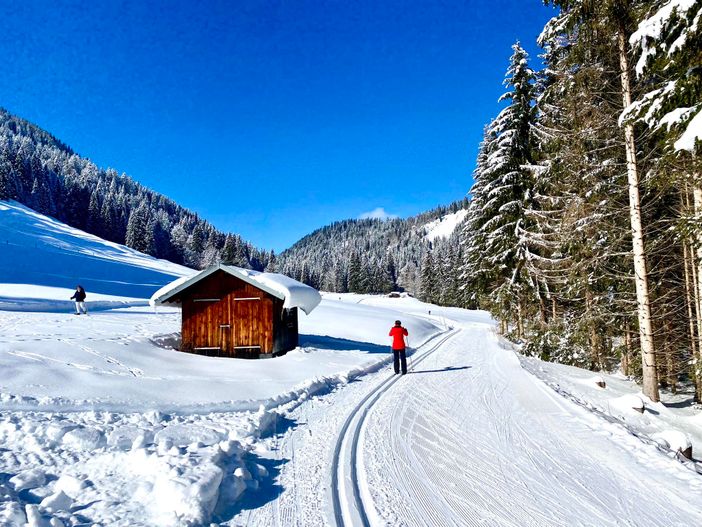 Winterfreuden auf der Loipe