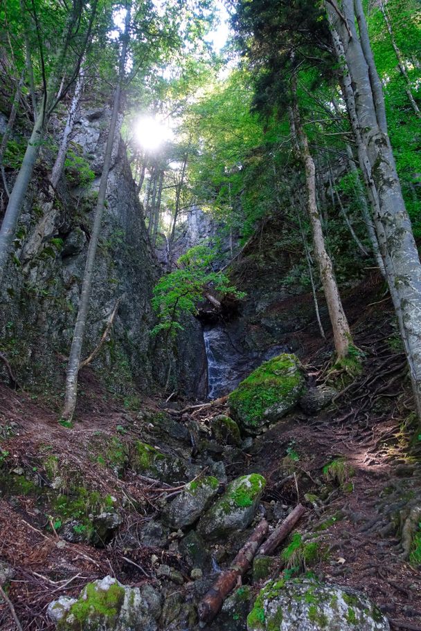 Kleiner Wasserfall entlang des Waldwegs zum Weißensee-Rundweg