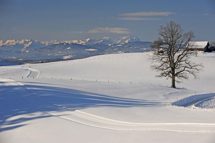 Ausblicke ins Voralpenland auf der Schweineburgloipe