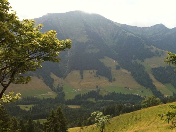 Blick zum Hochgrat